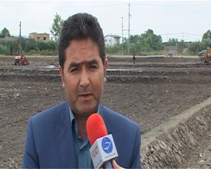 تجهیز و نوسازی 3 هزار هکتار از زمین های شالیزاری مازندران