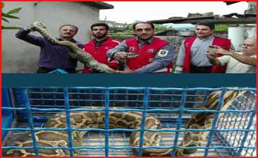 از استان&zwnj;ها چه خبر؟