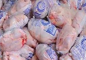 معدوم سازی50 کیلوگرم مرغ منجمد آلوده به سالمونلا در خوسف