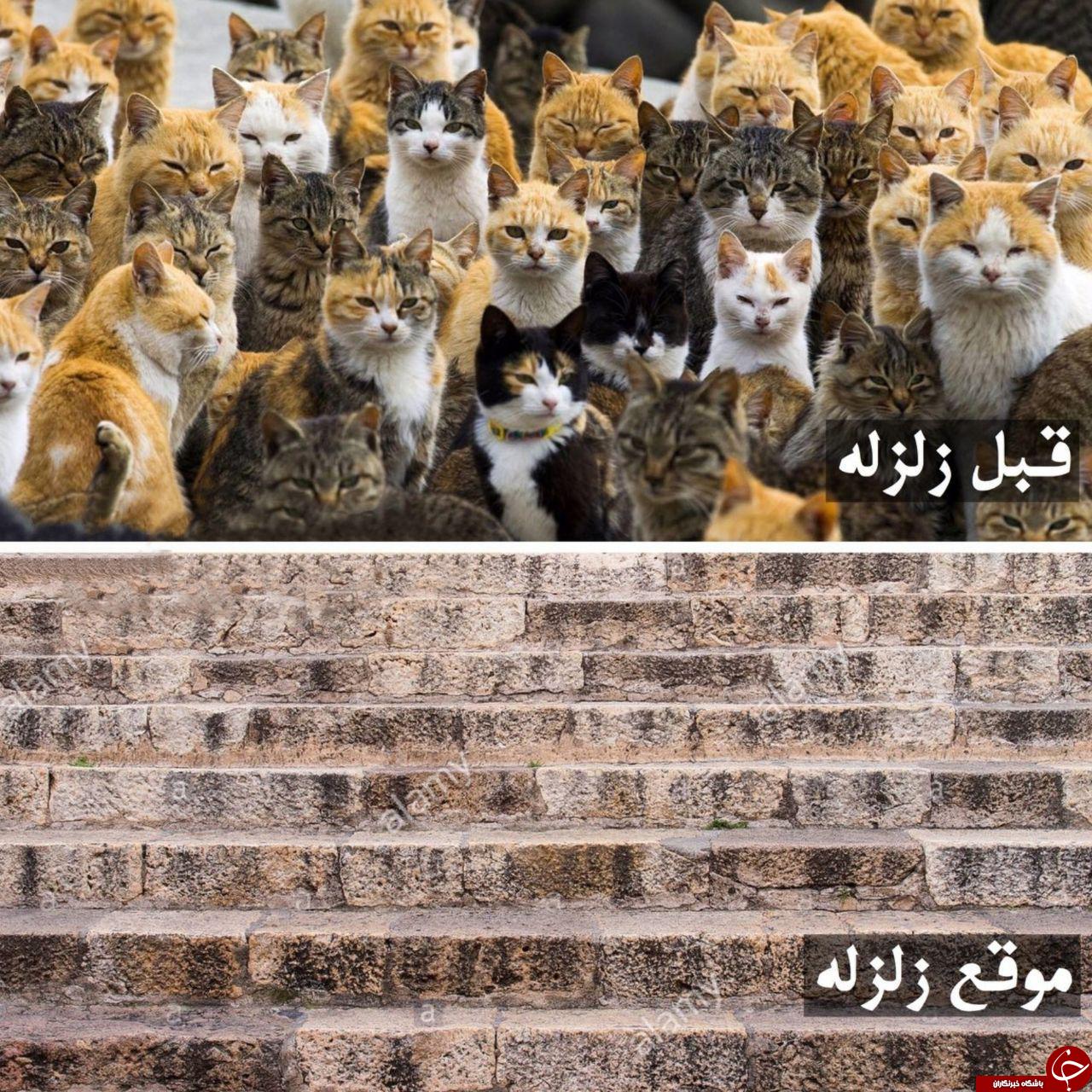 آیا واقعا می&zwnj;توان زلزله را پیش&zwnj;بینی کرد؟ +عکس