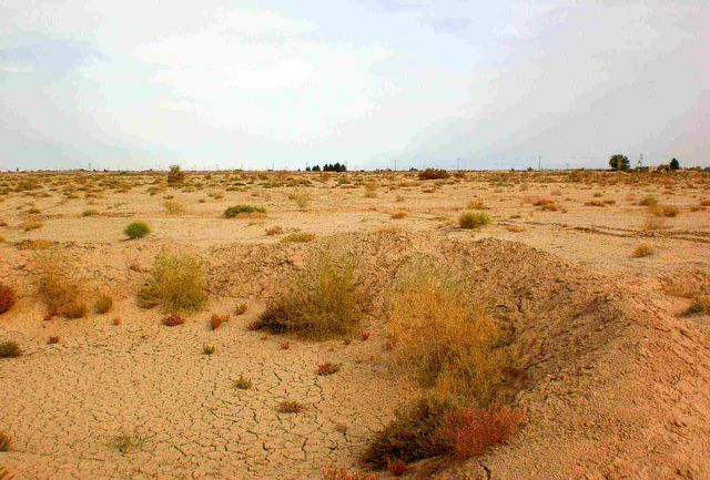 در حوزه تولیدات به مقوله استاندارد باید توجهه شود