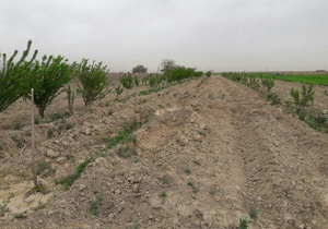 ۴۲ هزار خانه در اصفهان از خطر مدفون شدن مصون ماند