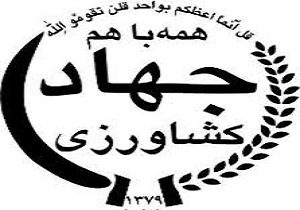 خریداری 500 هزار تُن گندم  از کشاورزان کردستانی