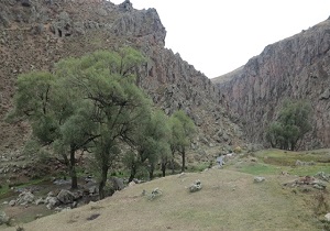 منطقه ورگه سران شهرستان سرعین پاکسازی شد