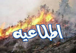 روش های مقابله با آتش سوزی در جنگل