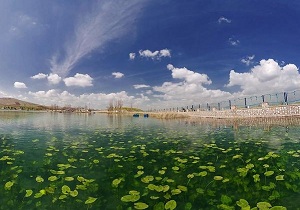 دامنه محدودیت‌ها برای حفاظت از "سراب نیلوفر" به 10 کیلومتر رسید