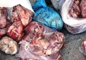 کشف گوشت منجمد فاسد در بستک