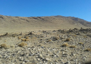 ممنوعیت برداشت کتیرا برای چهارمین سال متوالی در دهاقان