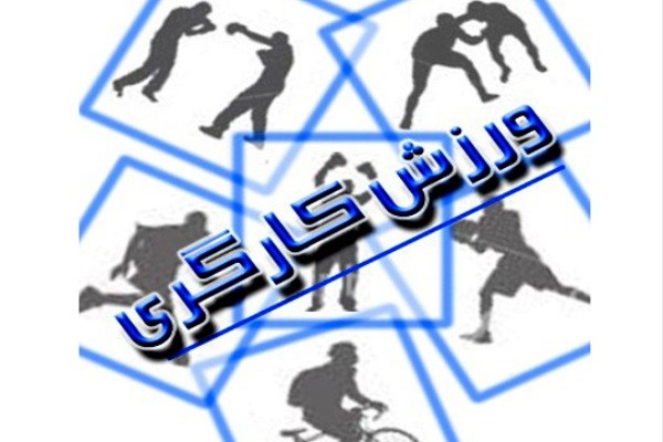 نخستین گروه از قهرمانان کاروان امید و تلاش وارد کشور شدند