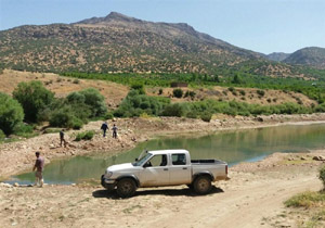 نجات هزاران ماهی در شهرستان سلسله
