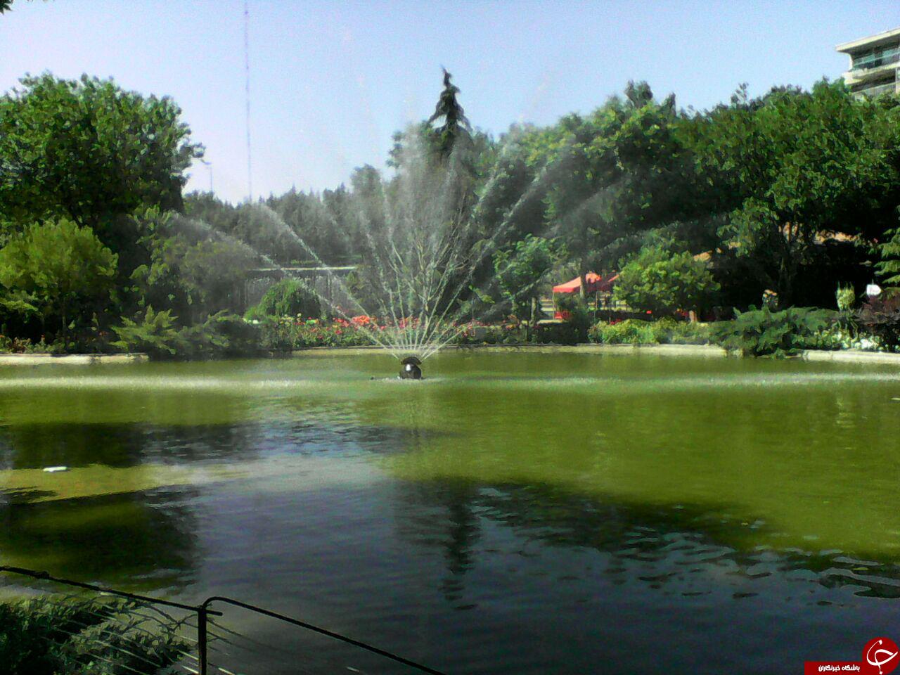 دریاچه بوستان چمران در قاب تصویر