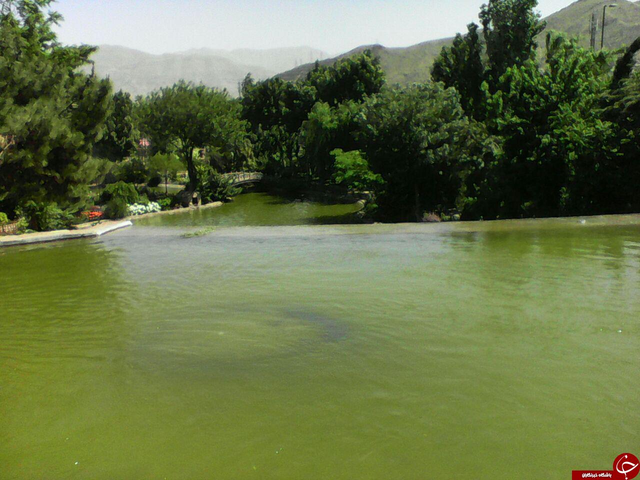 دریاچه بوستان چمران در قاب تصویر