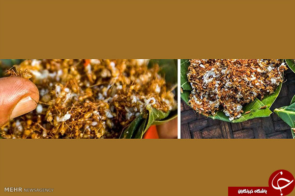 این هندی&zwnj;های عجیب&zwnj;خور!