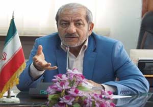تحقق برنامه های اقتصادی دولت در روستاها