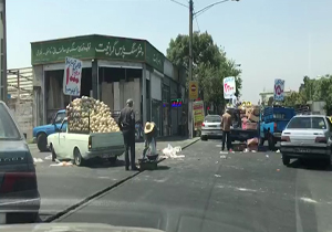 جولان میوه‌فروشان در بزرگراه بعثت + فیلم