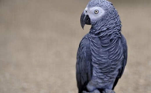 نگاهی به پر بیننده ترین اخبار روز گذشته در سمنان
