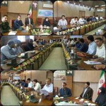 حل مشکلات زیست محیطی سیاهکل