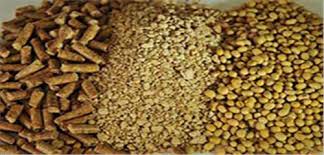 تعطیلات /ایران رتبه 66 واردات کنستانتره را به خود اختصاص داده است/ کاهش نرخ نهاده ها طی 4 سال اخیر