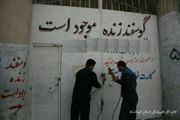 پلمب 125 واحد غیرمجاز عرضه فرآورده های خام دامی کرمانشاه