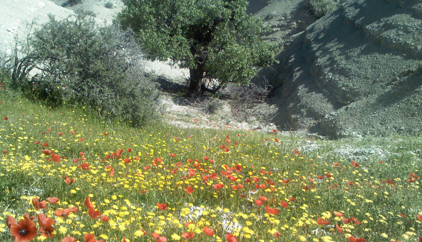 راهنمای سفر به ایلام اماکن دیدنی / هتل&zwnj;ها + تصاویر