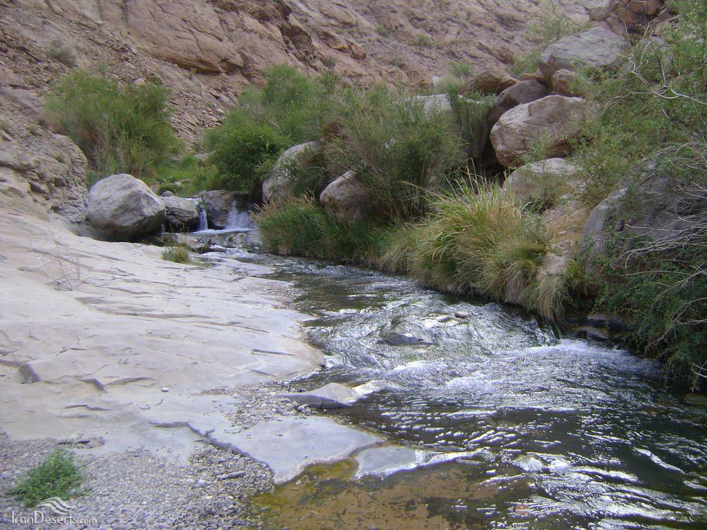 روستای کهنوج با بوی عطر زیره