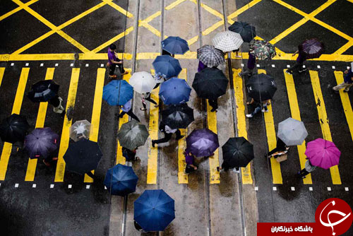 تصاویر روز: از تظاهرات ضد ترامپ در بروکسل تا قهرمانی منچستریونایتد در لیگ اروپا