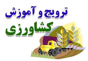 برگزاری 412 دوره کارگاه آموزشی ترویجی کشاورزی در قائم شهر