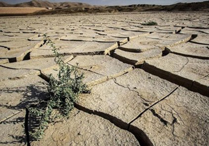 سالانه یک متر از سطح آب‌های زیرزمینی دشت اصفهان‌وبرخوار کاهش می‌یابد