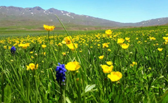 طبیعت زیبا و نادر در اردبیل + فیلم و تصاویر