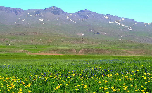 طبیعت زیبا و نادر در اردبیل + فیلم و تصاویر