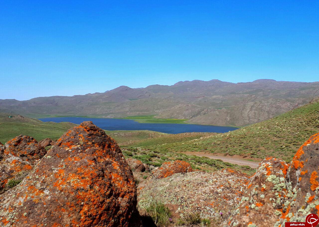 طبیعت زیبا و نادر در اردبیل + فیلم و تصاویر