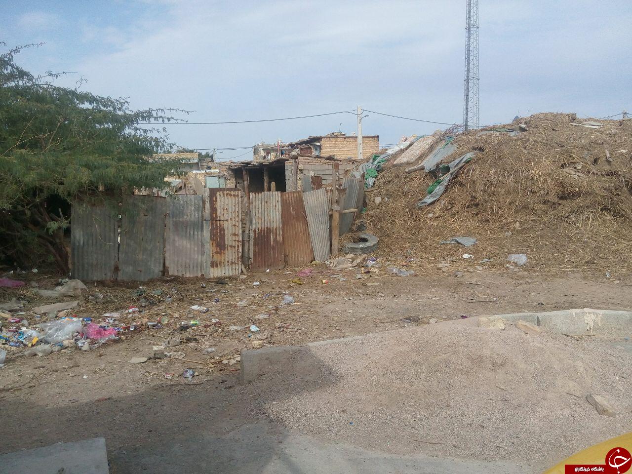 وضعیت اسفناک بهداشت در شطیط  + تصاویر