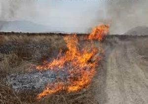پریشان باز هم دچار آتش سوزی شد