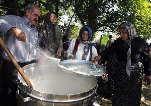 برگزاری آیین ستی شیردوشان در دیباج