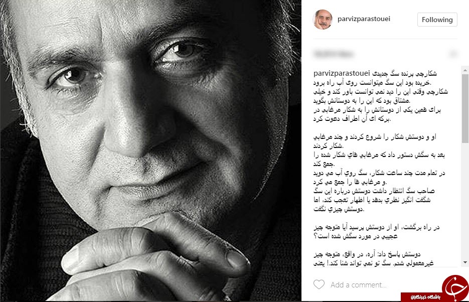داستان زیبای راه رفتن سگ روی آب به روایت پرستویی