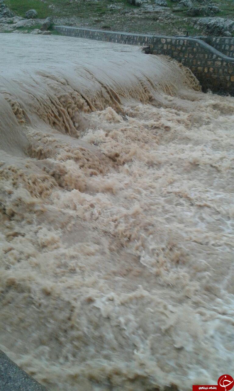 رودخانه نورالهی در قاب تصویر