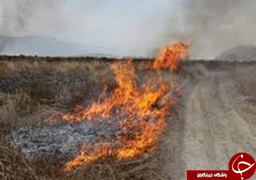 از کشف 180 کیلوگرم مواد مخدر تا توقیف قطعات رایانه میلیاردی