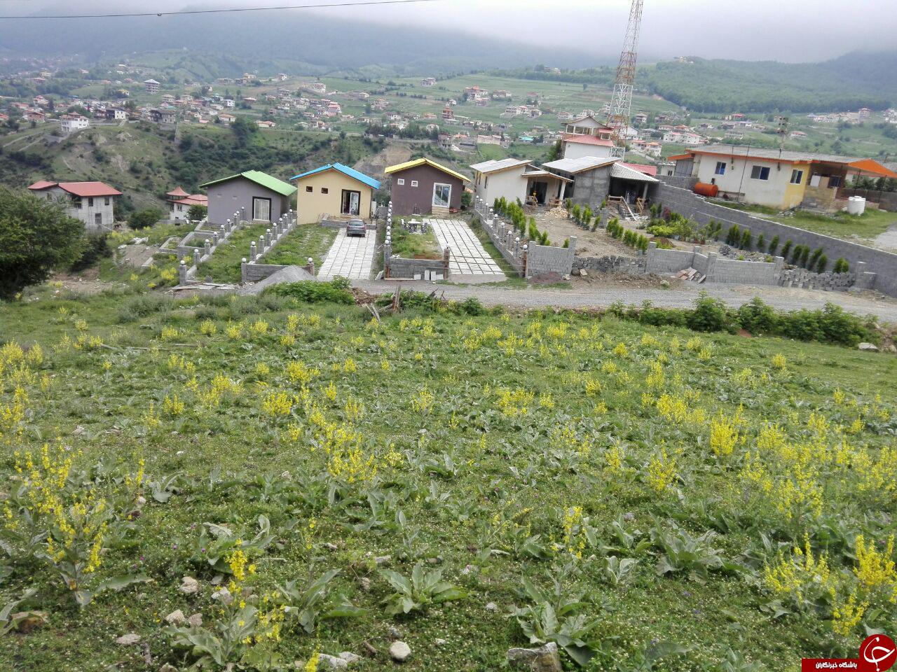 تصاویری دیدنی از طبیعت لاویج