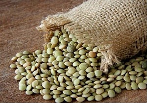 بیله سوار رتبه نخست تولید عدس در سطح کشور را دارد