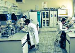 عضویت مرکز رشد دانشگاه آزاد اصفهان در انجمن بین المللی پارک های علمی