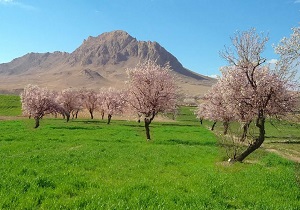 پیش بینی آسمان صاف تا قسمتی ابری