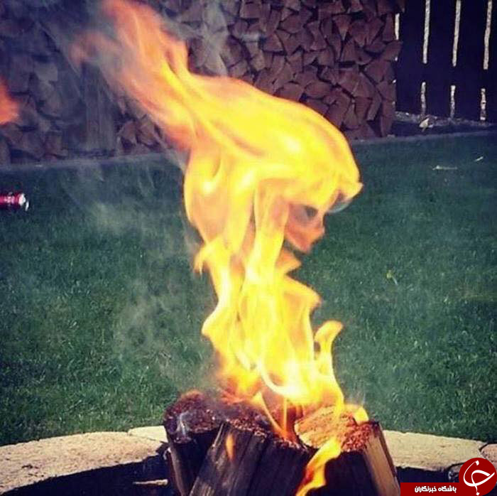 تصاویر حیرت انگیزی که در بهترین زمان و مکان ثبت شده اند!
