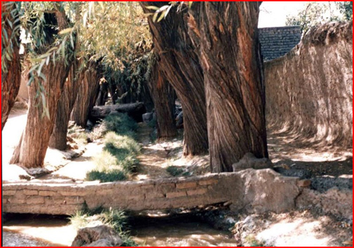 بازگشت زندگی به روستاهای محروم خراسان جنوبی /قرارگاه بسیج سازندگی لبخند را بر لبان مردم جاری می&zwnj;کند&zwnj;