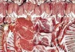 ابتلای 19 نفر به تب کنگو در سیستان و بلوچستان/ نظارت کامل دامپزشکی استان و کنترل بیماری