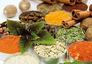 بهار فصل برداشت گیاهان دارویی در شهرستان خلخال
