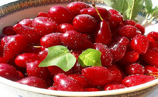80 درصد زنان ایرانی کمبود ویتامین D دارند/قارچ برای کاهش وزن موثر است/بدون جگر در بدن زنده می مانید/نیروی جاذبه ماه باعث زله می شود