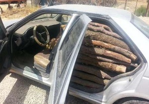 کشف یک تن چوب جنگلی قاچاق در لردگان