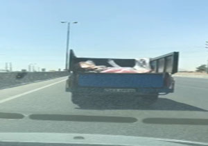 پربازدید