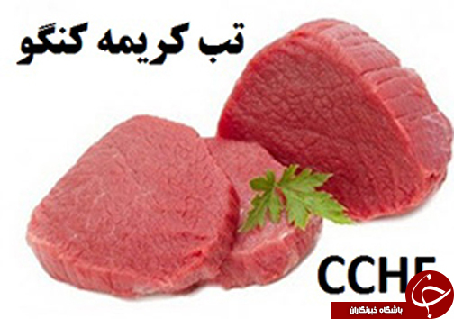 از نبود تب کریمه کنگو در فارس تا فرود اضطراری پرواز تهران - عسلویه در فرودگاه شیراز