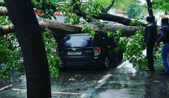 گردباد و طوفان در مسکو 6 کشته برجای گذاشت